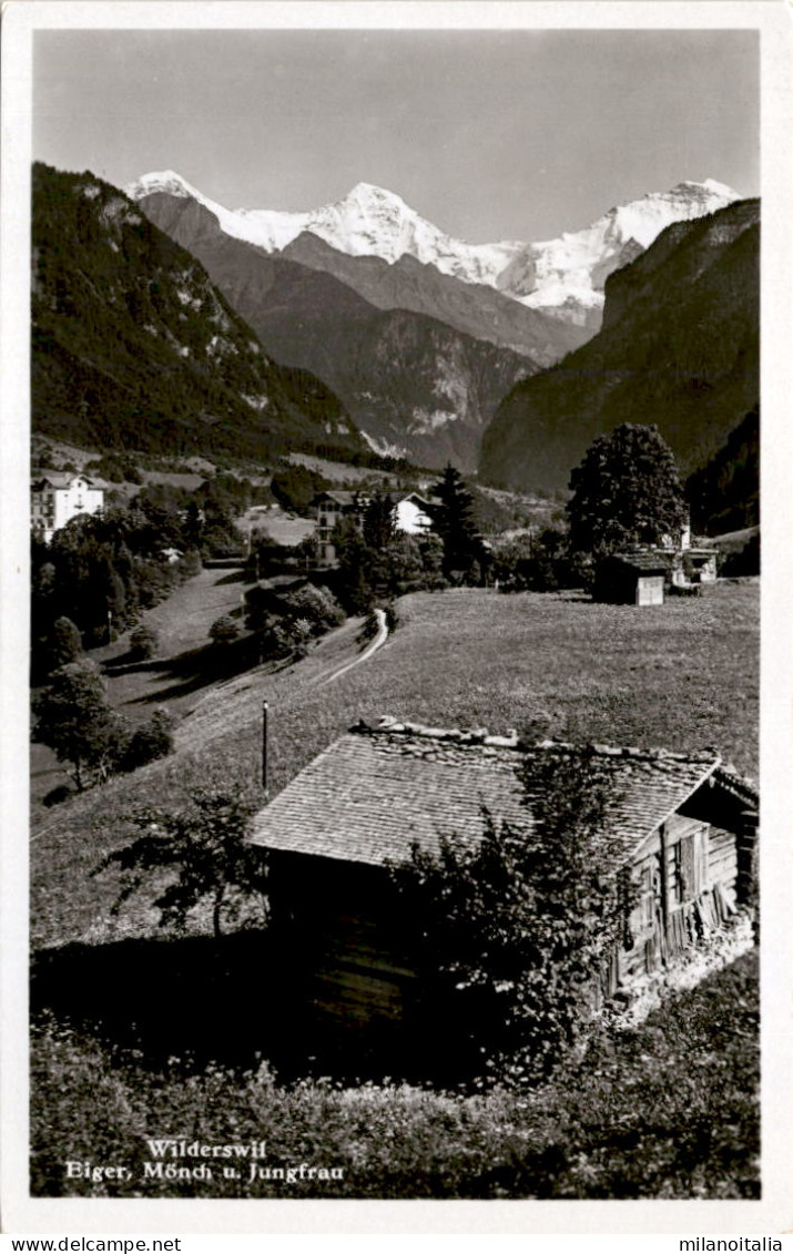 Wilderswil - Eiger, Mönch U. Jungfrau (3125) - Wilderswil