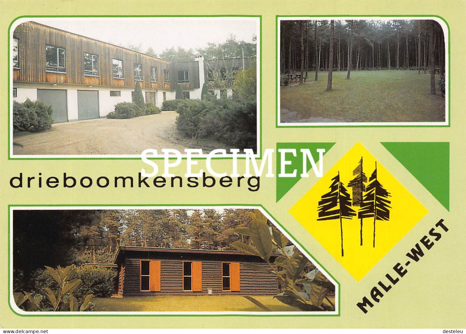Drieboomkensberg Malle - West - Malle