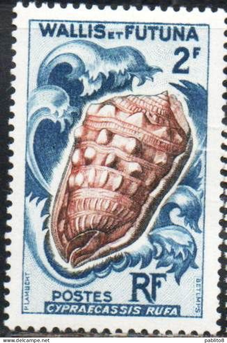 WALLIS AND FUTUNA ISLANDS 1962 1963 SEA SHELLS CYPRAECASSIS RUFA  2fr MNH - Ungebraucht