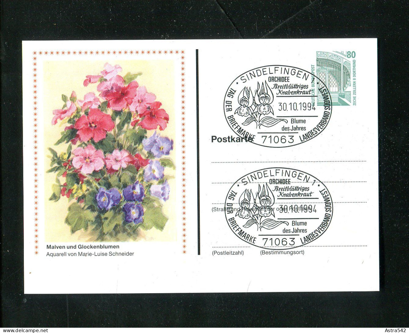 "BUNDESREPUBLIK DEUTSCHLAND" 1994, Privatpostkarte "Malven Und Glockenblumen", SSt. "Sindelfingen" (13581) - Cartes Postales Privées - Oblitérées