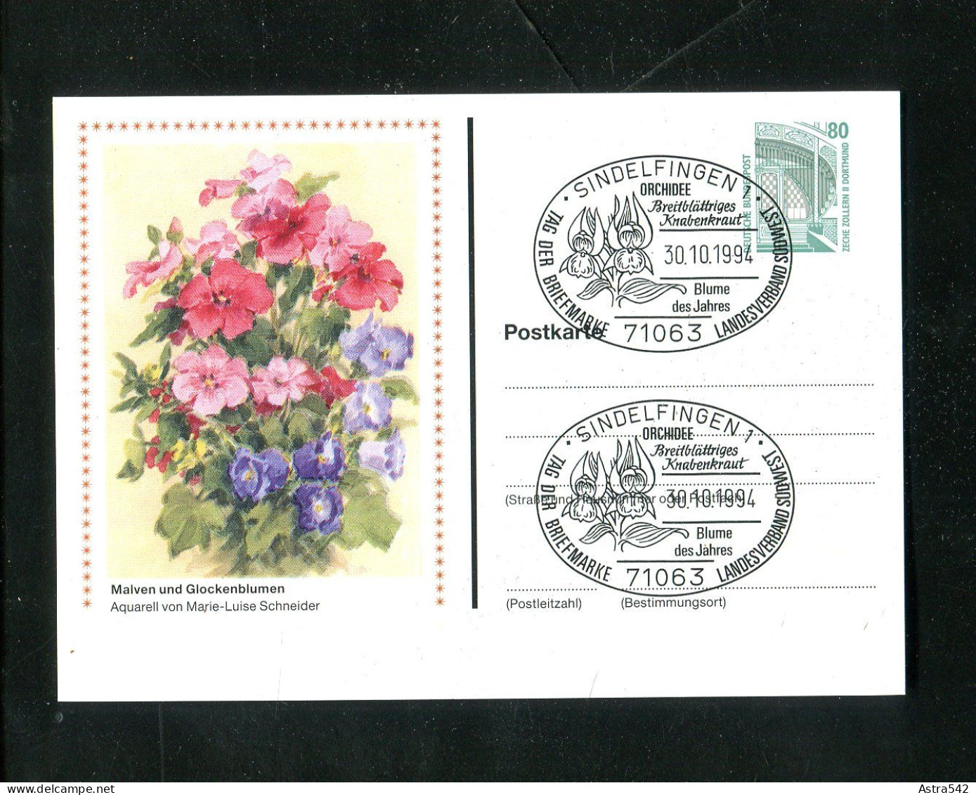 "BUNDESREPUBLIK DEUTSCHLAND" 1994, Privatpostkarte "Malven Und Glockenblumen", SSt. "Sindelfingen" (13581) - Postales Privados - Usados