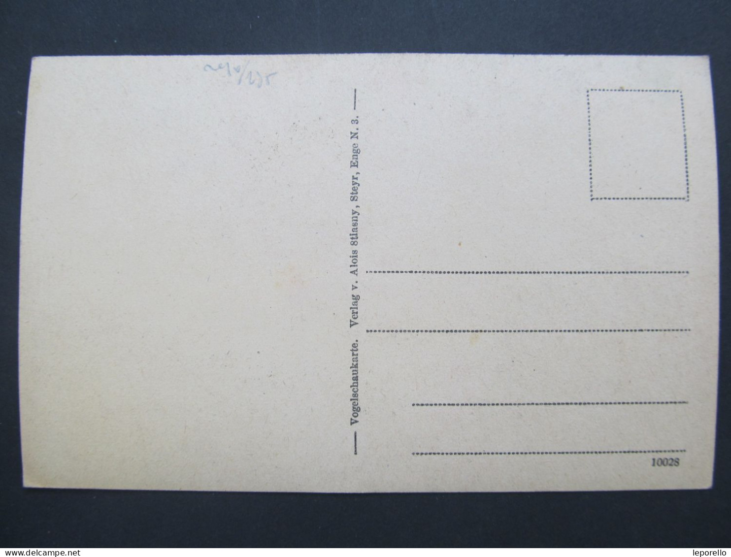 AK STEYR V. Vogelschau Felle Isny Ca. 1920 // D*55960 - Steyr