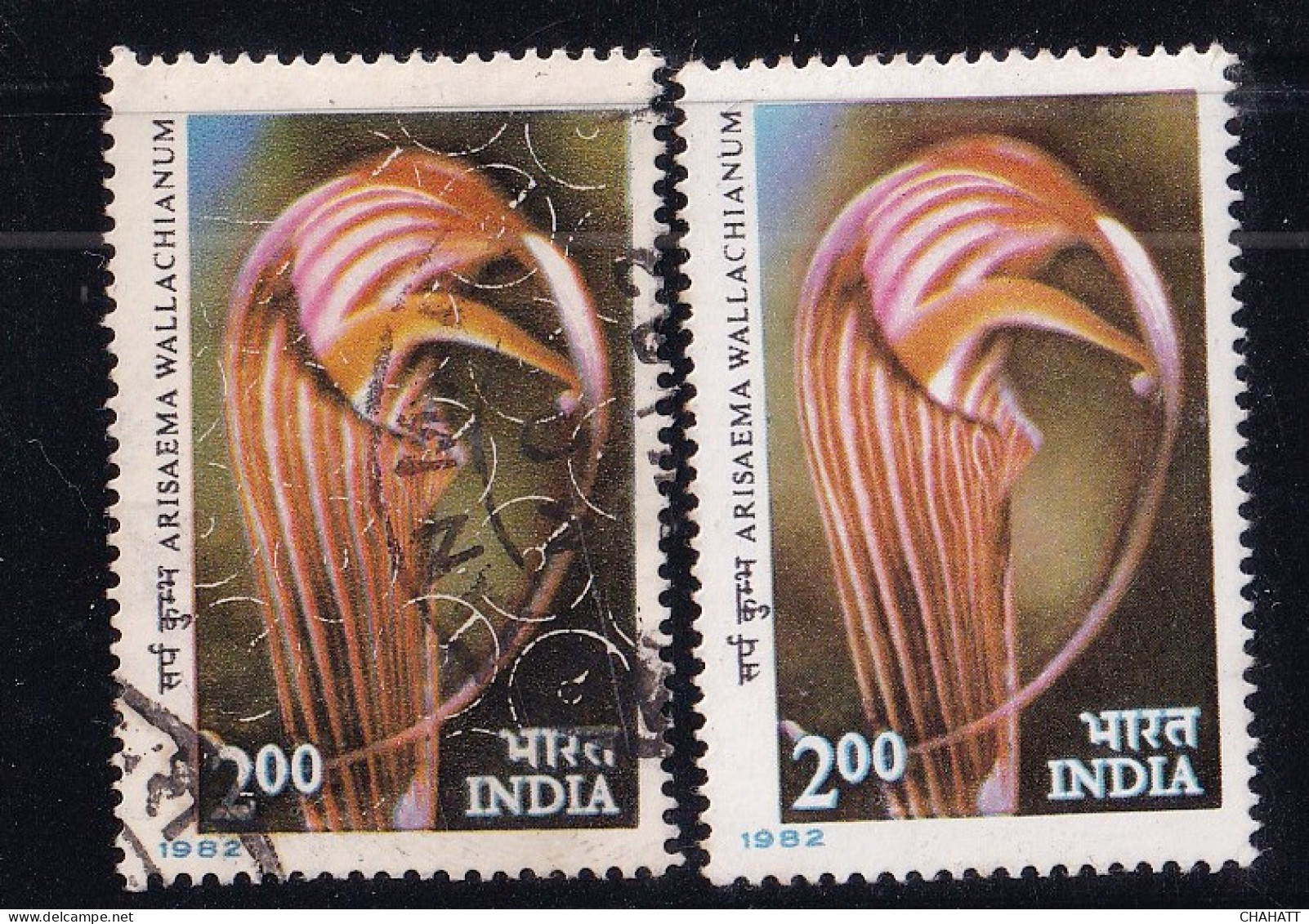 INDIA-1982-GIANT LILY- SARPAKUMBHA FLOWER- RARE ERROR-FU WITH MNH-EXTREMELY RARE - MNH- IE-61 - Variétés Et Curiosités