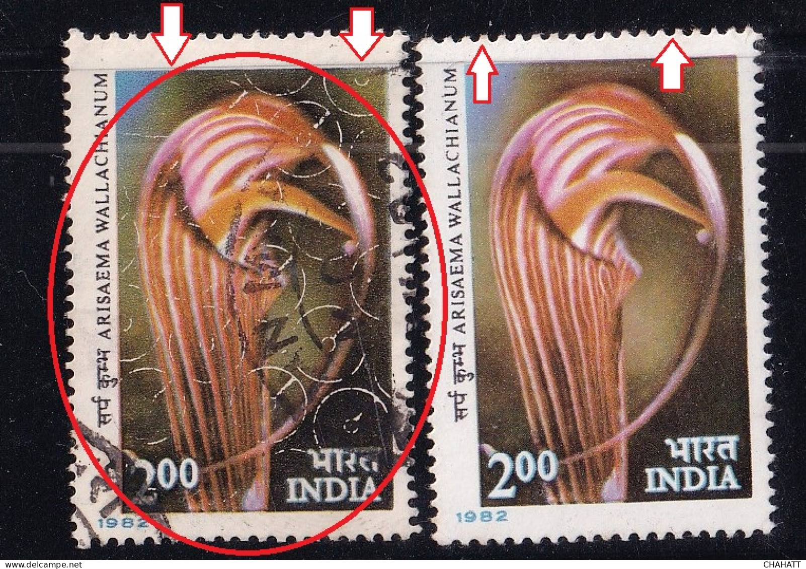 INDIA-1982-GIANT LILY- SARPAKUMBHA FLOWER- RARE ERROR-FU WITH MNH-EXTREMELY RARE - MNH- IE-61 - Errors, Freaks & Oddities (EFO)
