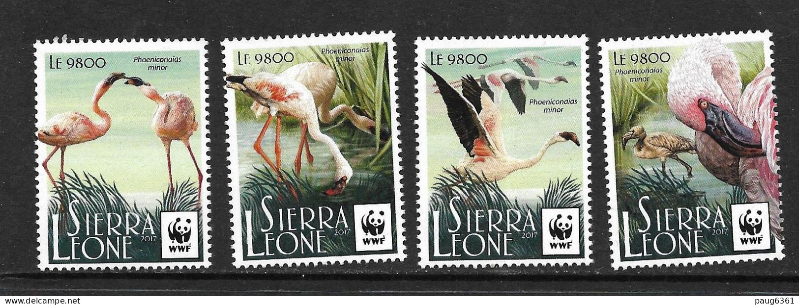 SIERRA LEONE 2017 WWF-FLAMANT ROSE  YVERT N°7009/12  NEUF MNH** - Flamingos