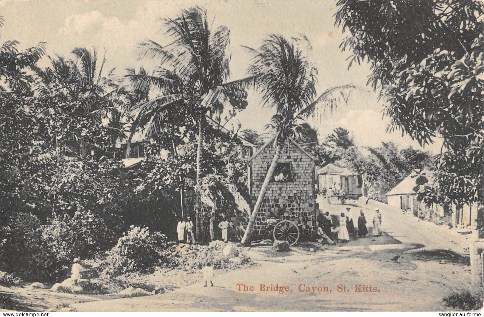 CPA ANTILLES SAINT CHRISTOPHE ET NEVIES THE BRIDGE CAYON SAINT KITTS - San Cristóbal Y Nieves