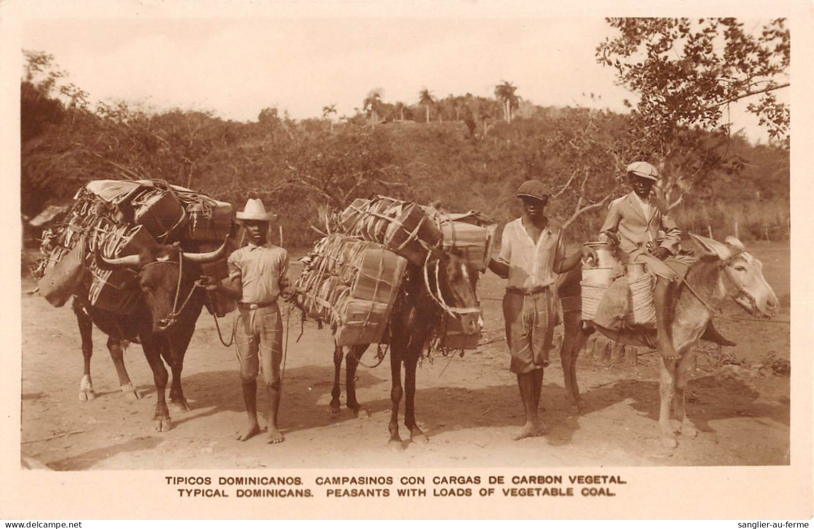 CPA ANTILLES REP.DOMINICAINE TIPICOS DOMINICANOS CAMPASINOS CON CARGAS DE CARBON VEGETAL - República Dominicana