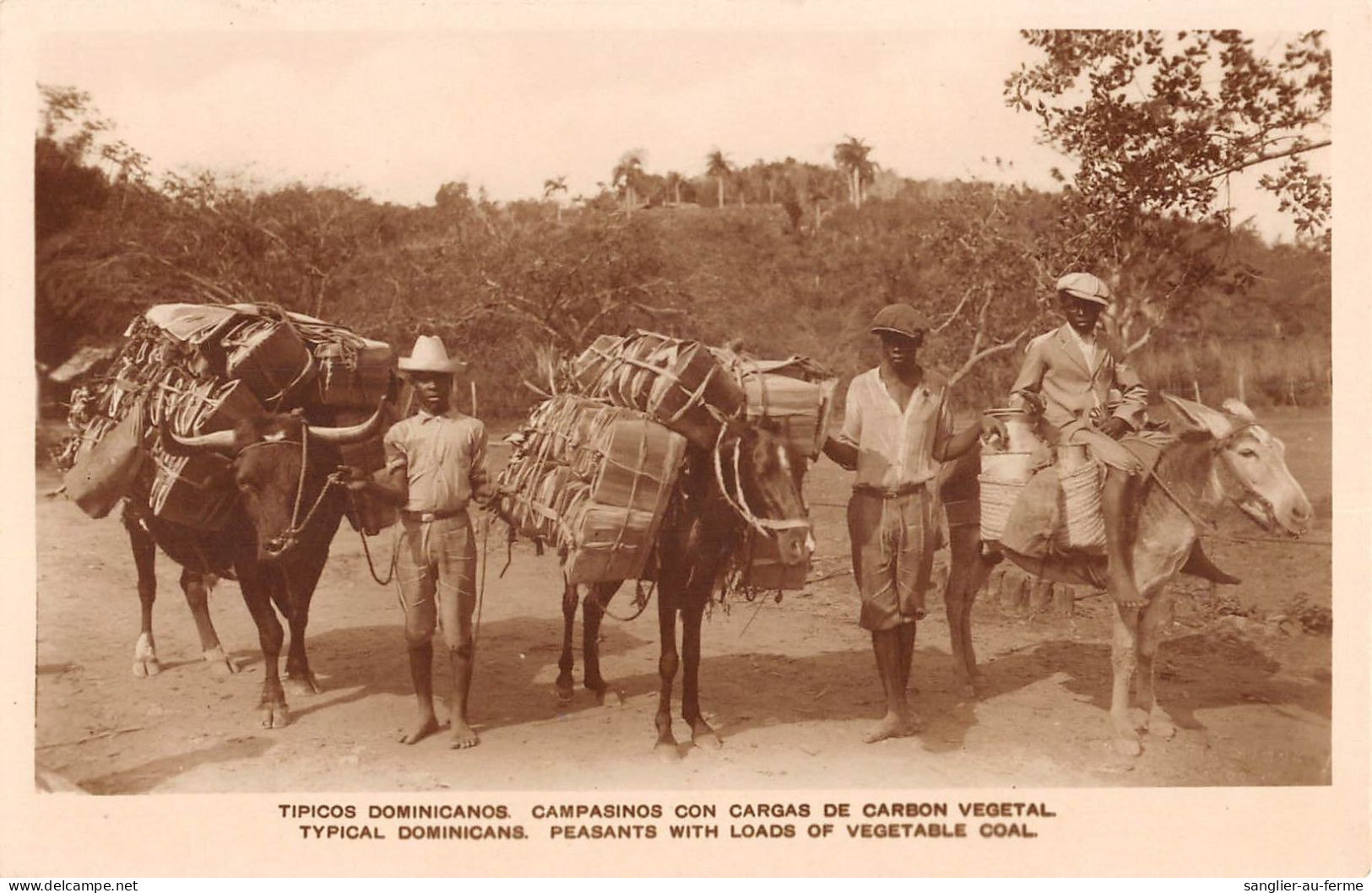 CPA ANTILLES REP.DOMINICAINE TIPICOS DOMINICANOS CAMPASINOS CON CARGAS DE CARBON VEGETAL - Dominicaine (République)