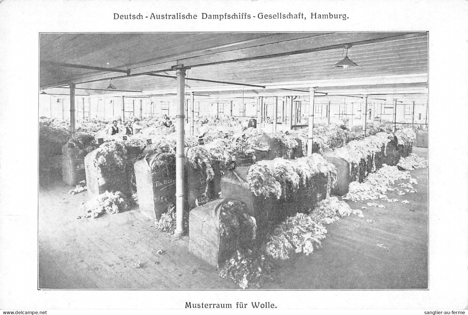 CPA AUSTRALIE MUSTERRAUM FUR WOLLE DEUTSCH AUSTRALIESCHE DAMPFSCHIFFS GESELLSCHAFT HAMBOURG - Sydney