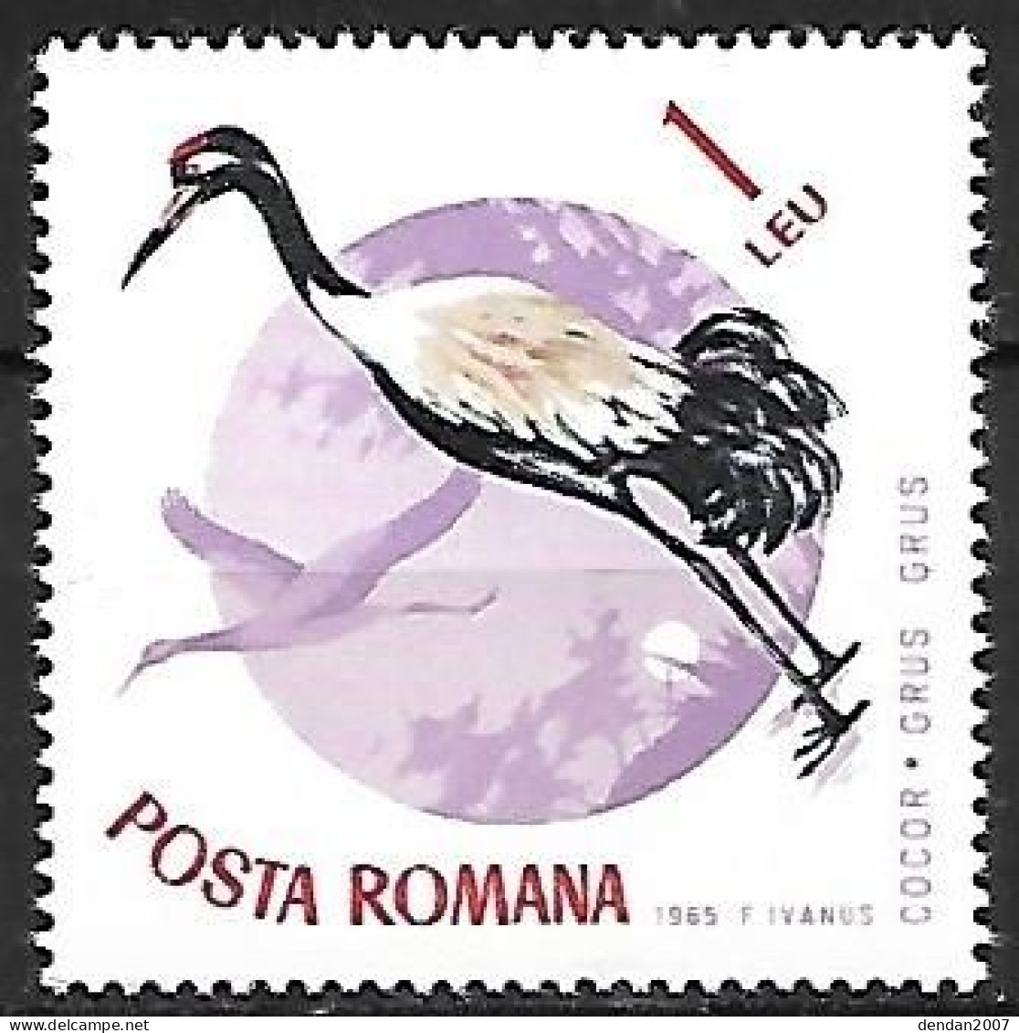 Romania - MNH ** 1965 :    Common Crane  -  Grus Grus - Grues Et Gruiformes