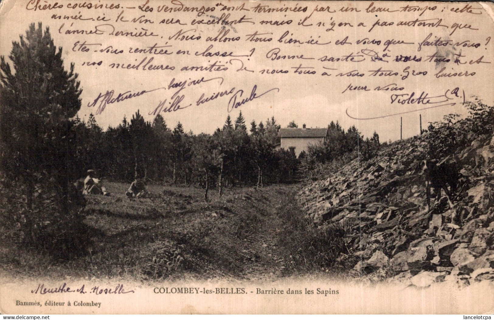 54 - COLOMBEY LES BELLES / BARRIERE DANS LES SAPINS - Colombey Les Belles