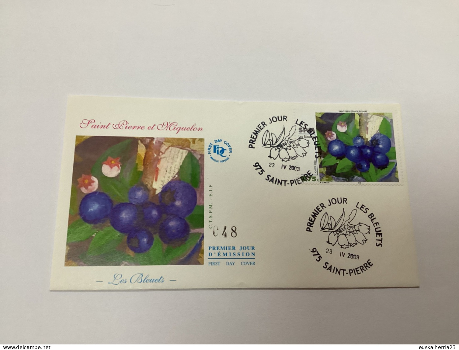 Enveloppe 1er Jour Saint-pierre Et Miquelon Les Bleuets 2003 - Used Stamps