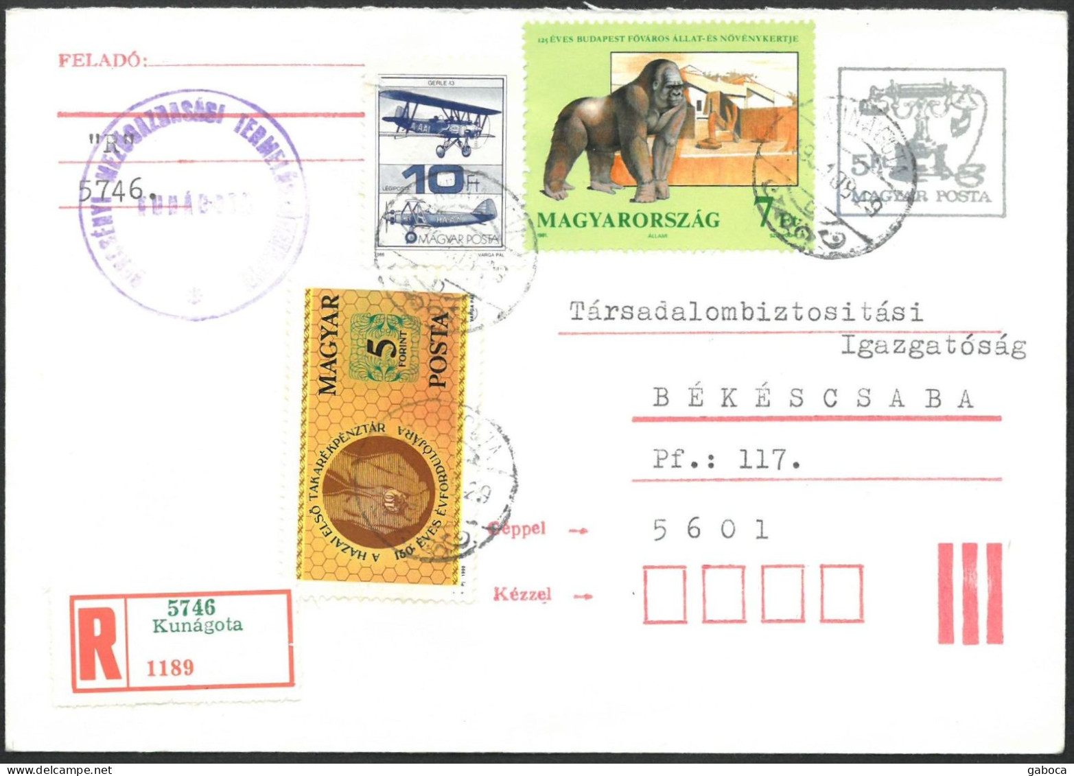 C4256 Hungary Animal Monkey Zoo Telecom Aircraft Money Registered - Gorilas