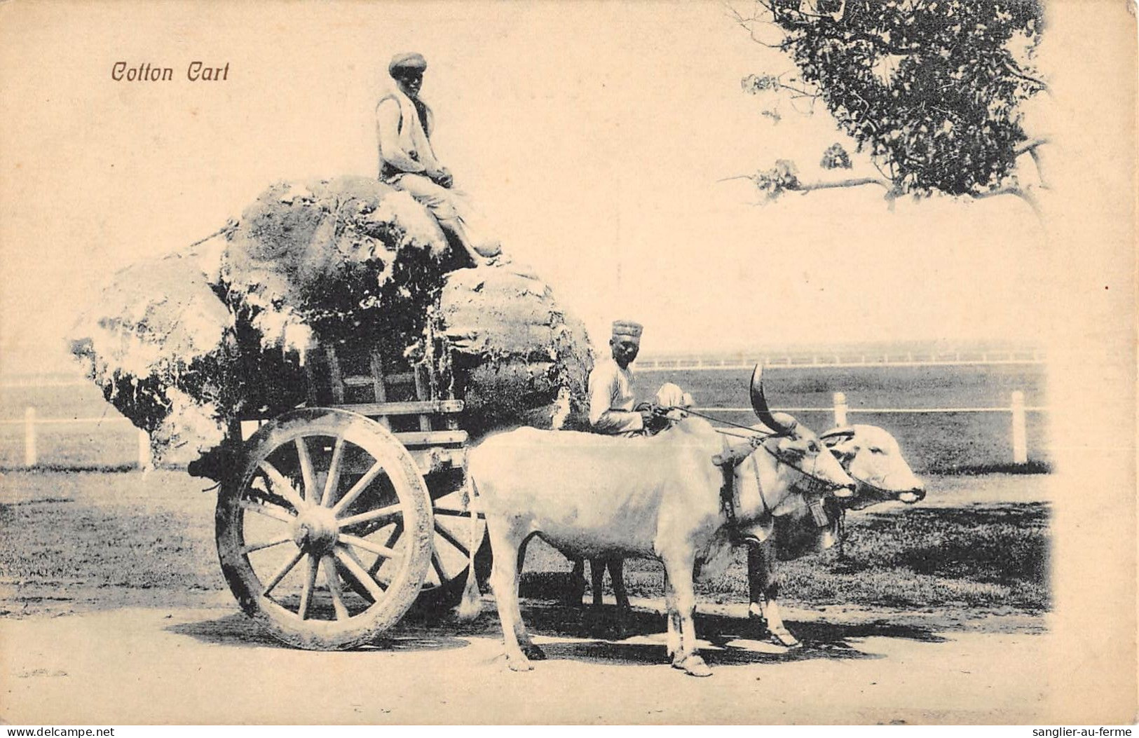 CPA INDE COTTON CART - India