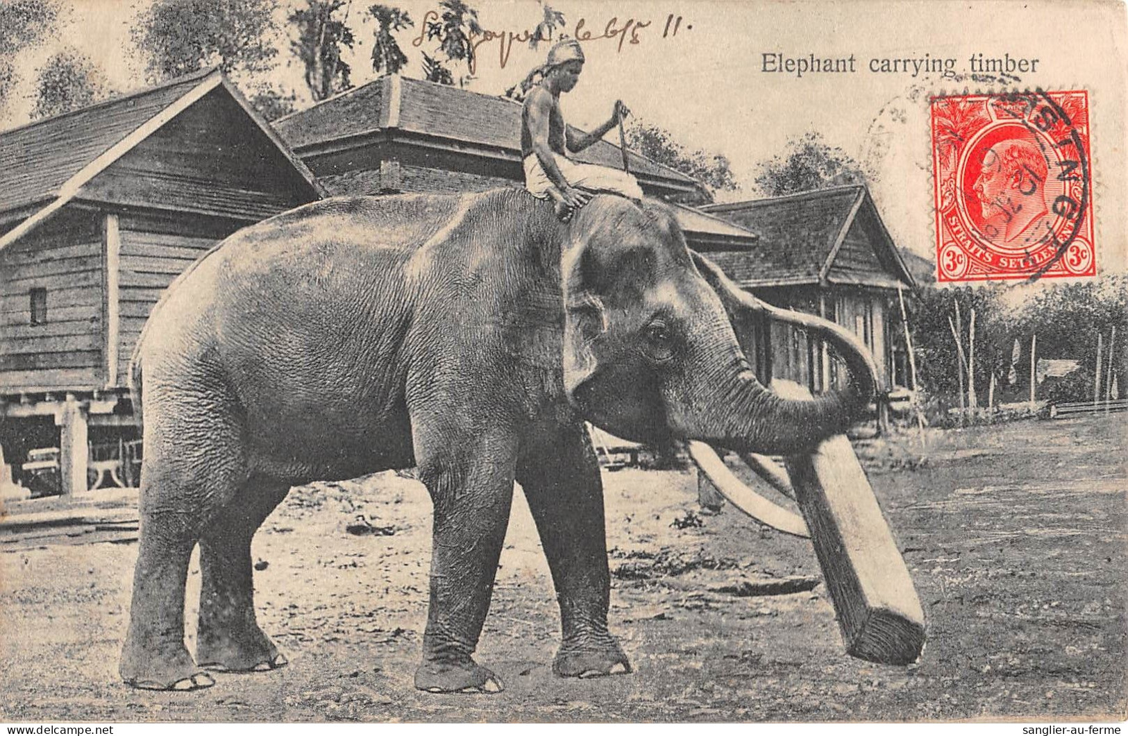 CPA INDE ELEPHANT CARRYING TIMBER - Inde