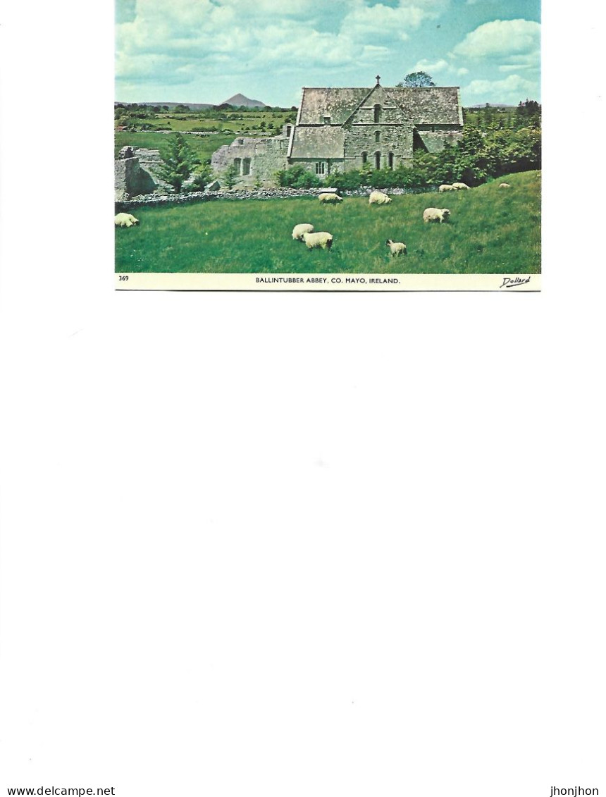 Ireland - Postcard Unused  -  Ballintubber Abbey,,co.Mayo - Mayo
