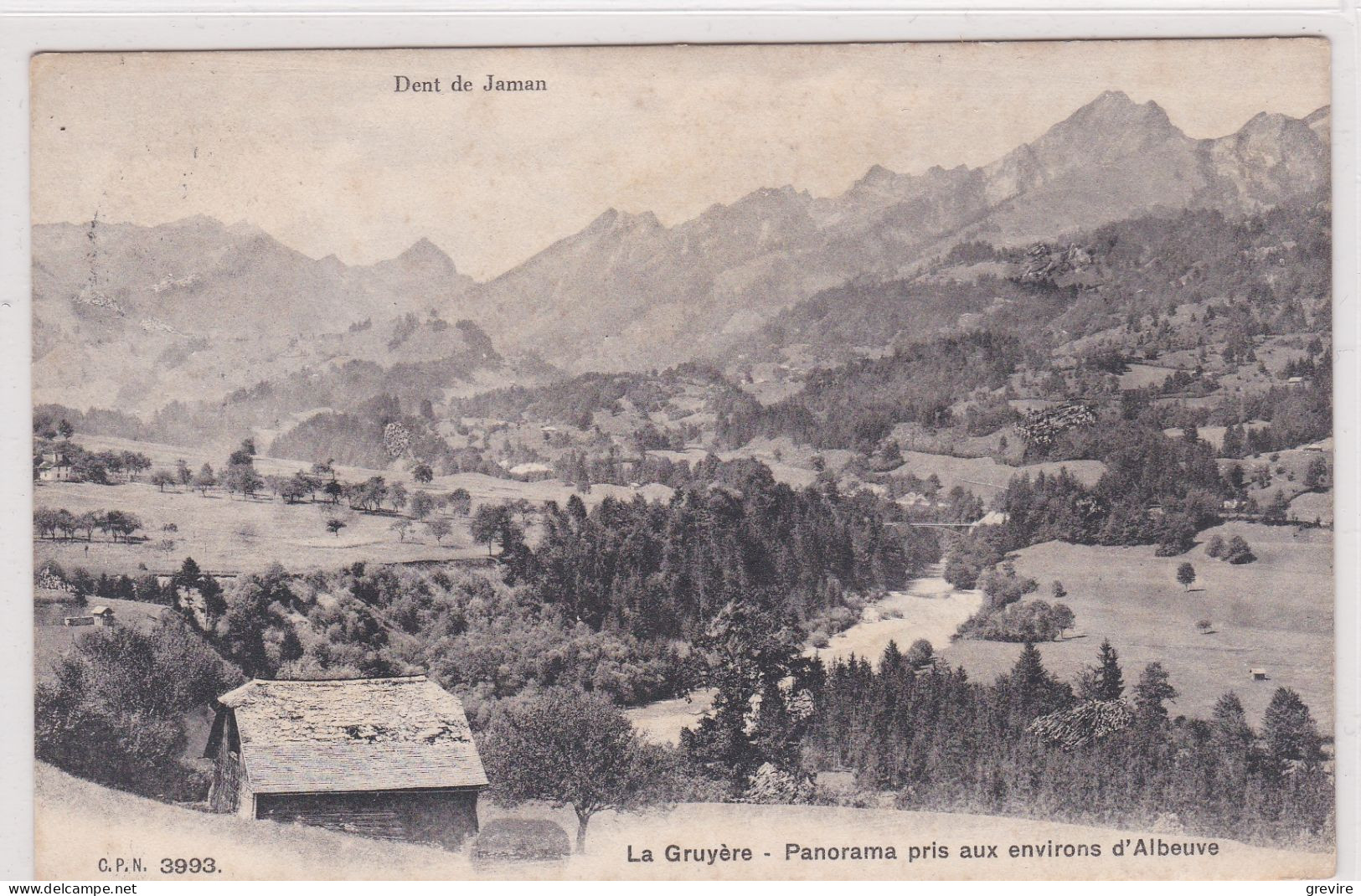Panorama Pris Aux Environs D'Albeuve, Sarine - Albeuve