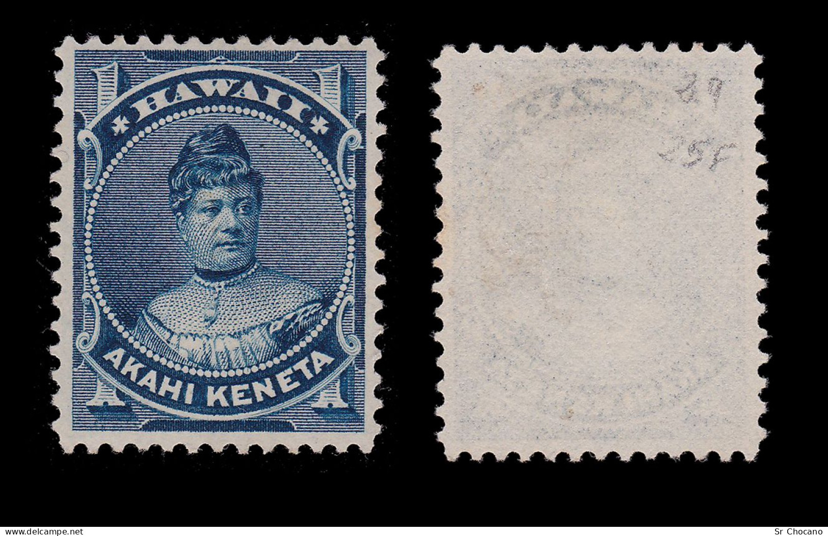 HAWAII Stamp.Likelike.1882.1c.CENTERED.SCOTT 37.MNG - Hawaii