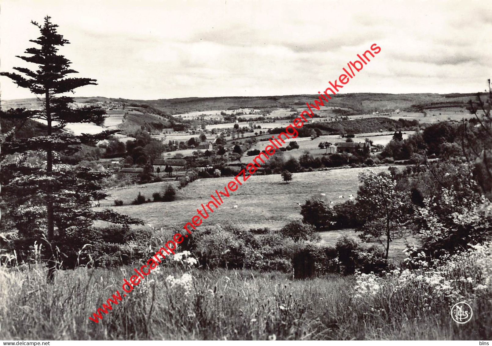 Panorama Des Hameaux - Erezée - Erezée