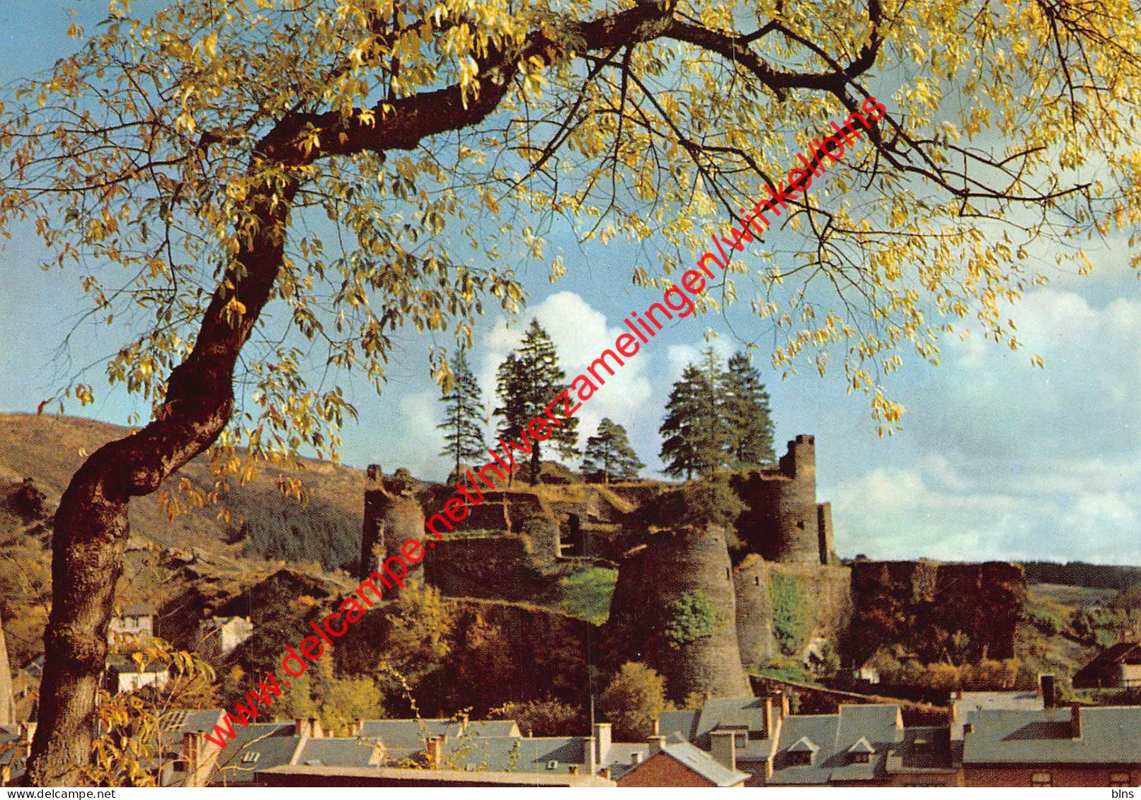 Ruines Du Château - La Roche-en-Ardenne - La-Roche-en-Ardenne