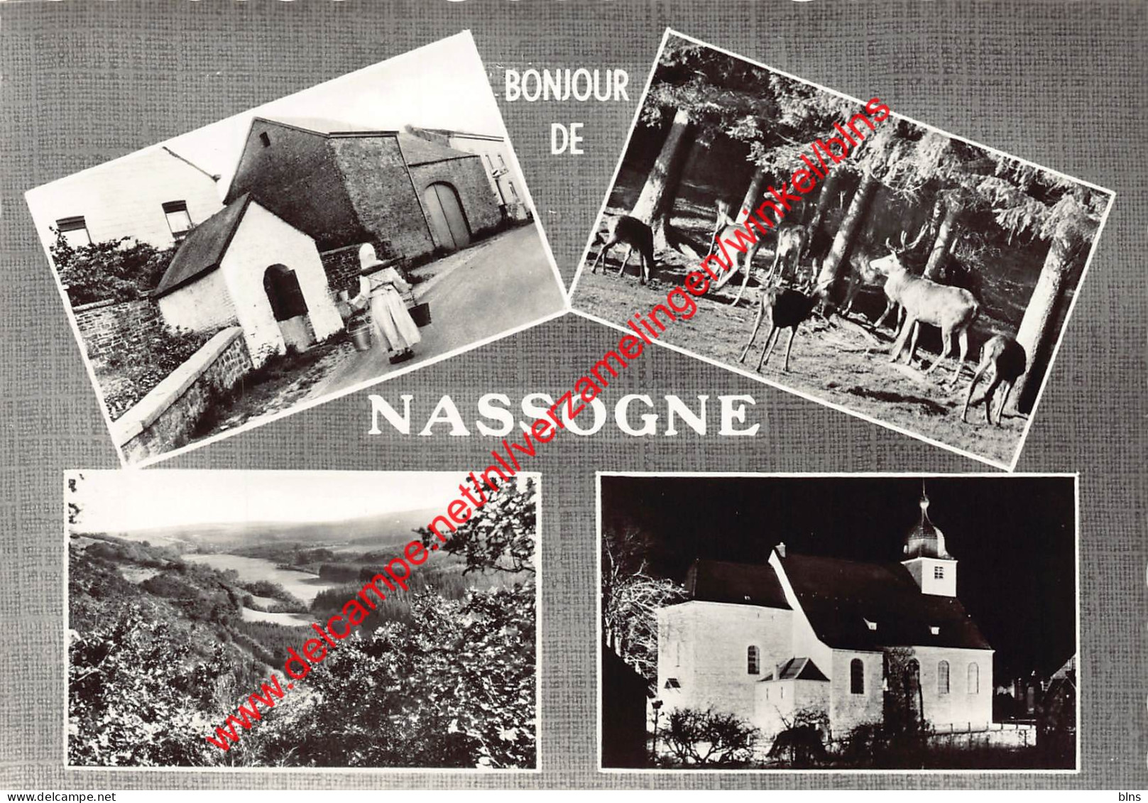 Bonjour - Nassogne - Nassogne