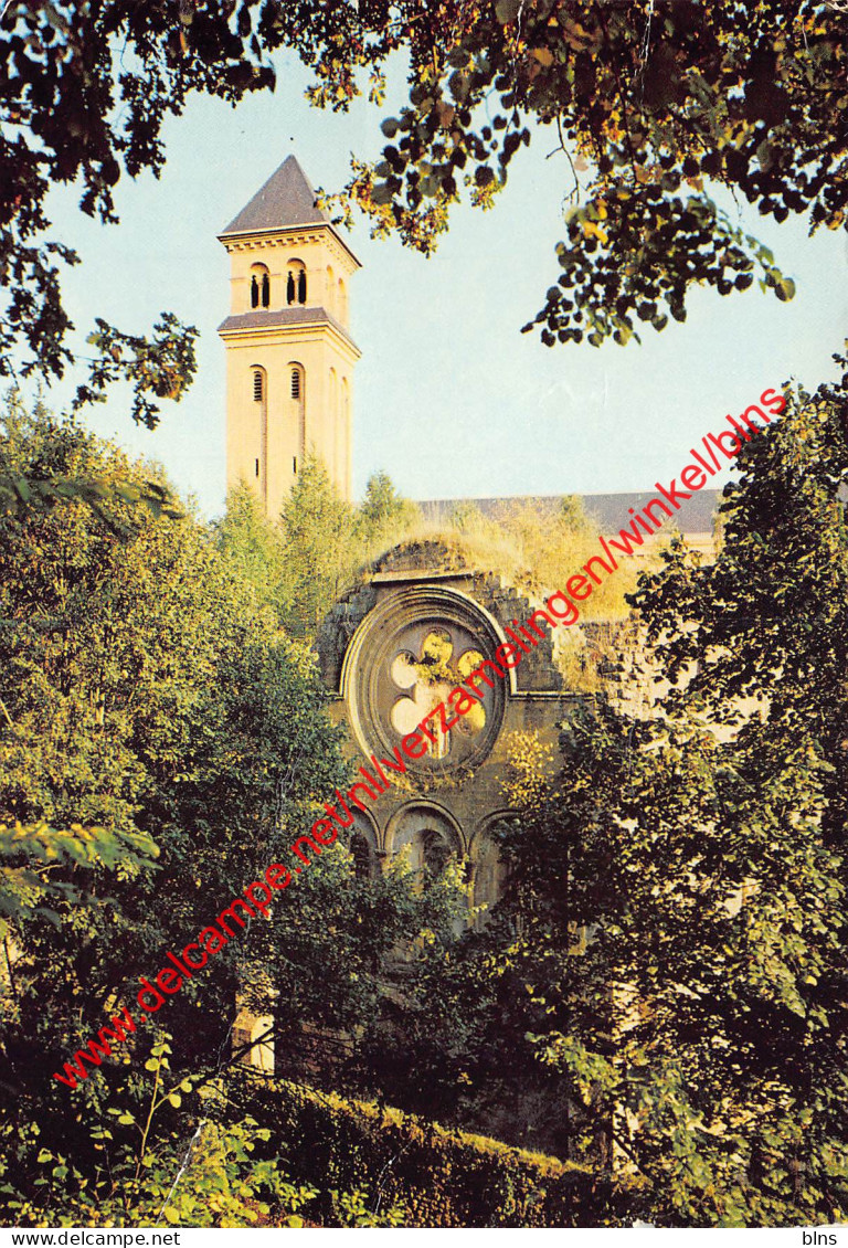 Abbaye Notre-Dame - Rosace Du XIIe Siècle - Orval - Florenville