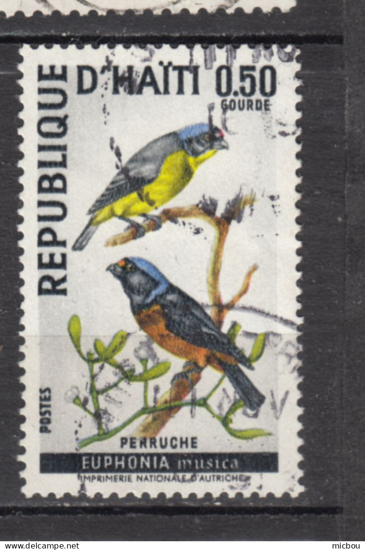 Haiti, Haitia, Perruche, Oiseau, Bird, Perroquet, Parrot - Pappagalli & Tropicali