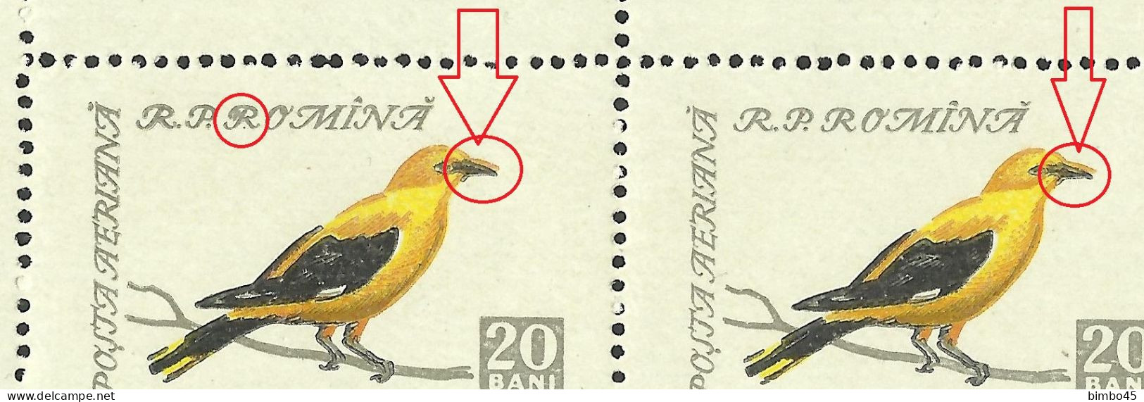 Error - Rar , Rar ,  - Romania  Airmail  1959 Bird X4 MNH -  Double Beak In Birds / Letter "R" - Abarten Und Kuriositäten