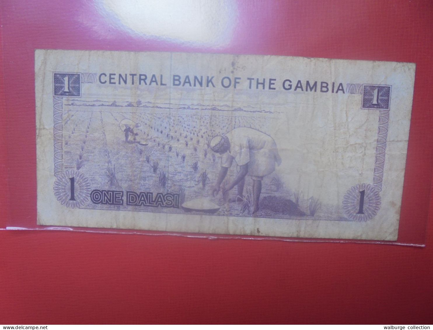 GAMBIE 1 DALASI 1971-87 Signature N°4 Circuler (B.29) - Gambia