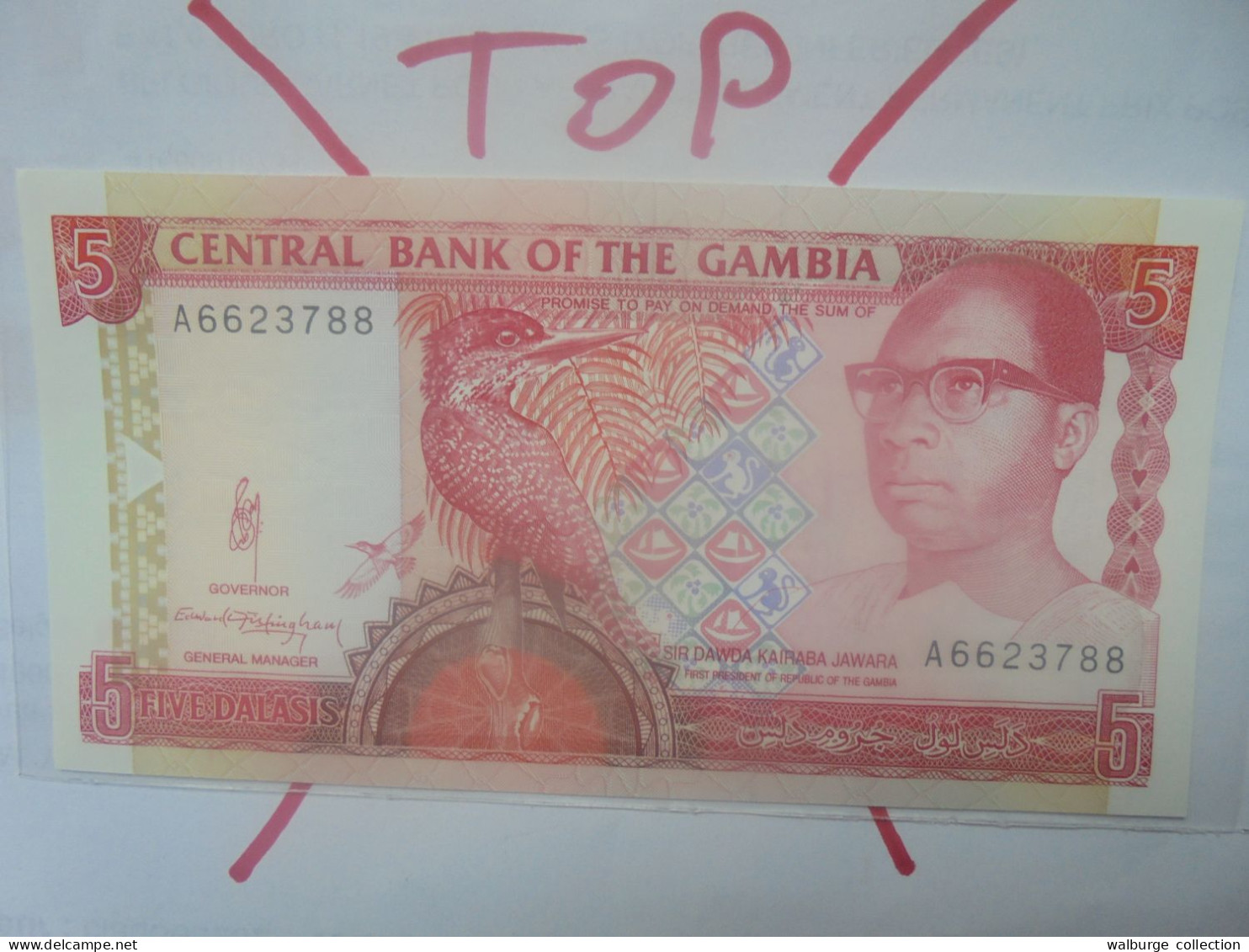 GAMBIE 5 DALASIS 1991-95 Signature N°10 Neuf (B.29) - Gambia