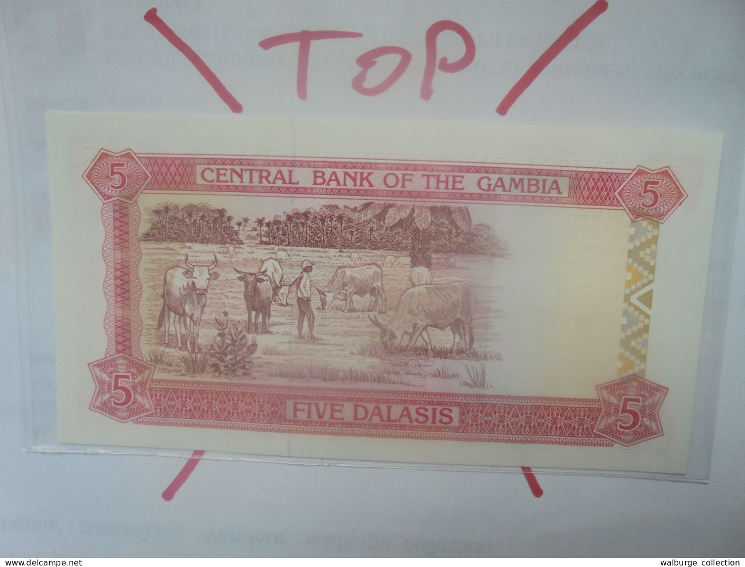 GAMBIE 5 DALASIS 1991-95 Signature N°10 Neuf (B.29) - Gambia