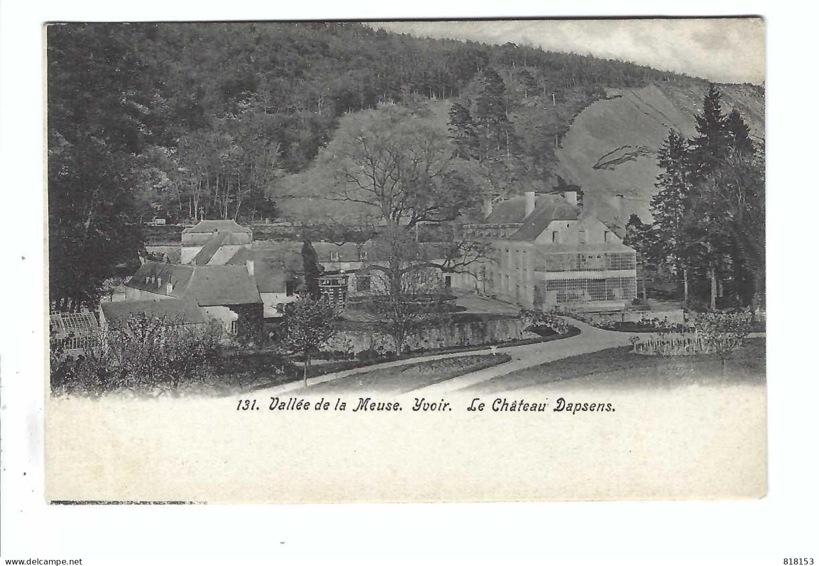 Yvoir  131 Vallée De La Meuse. Le Château Dapsens - Yvoir