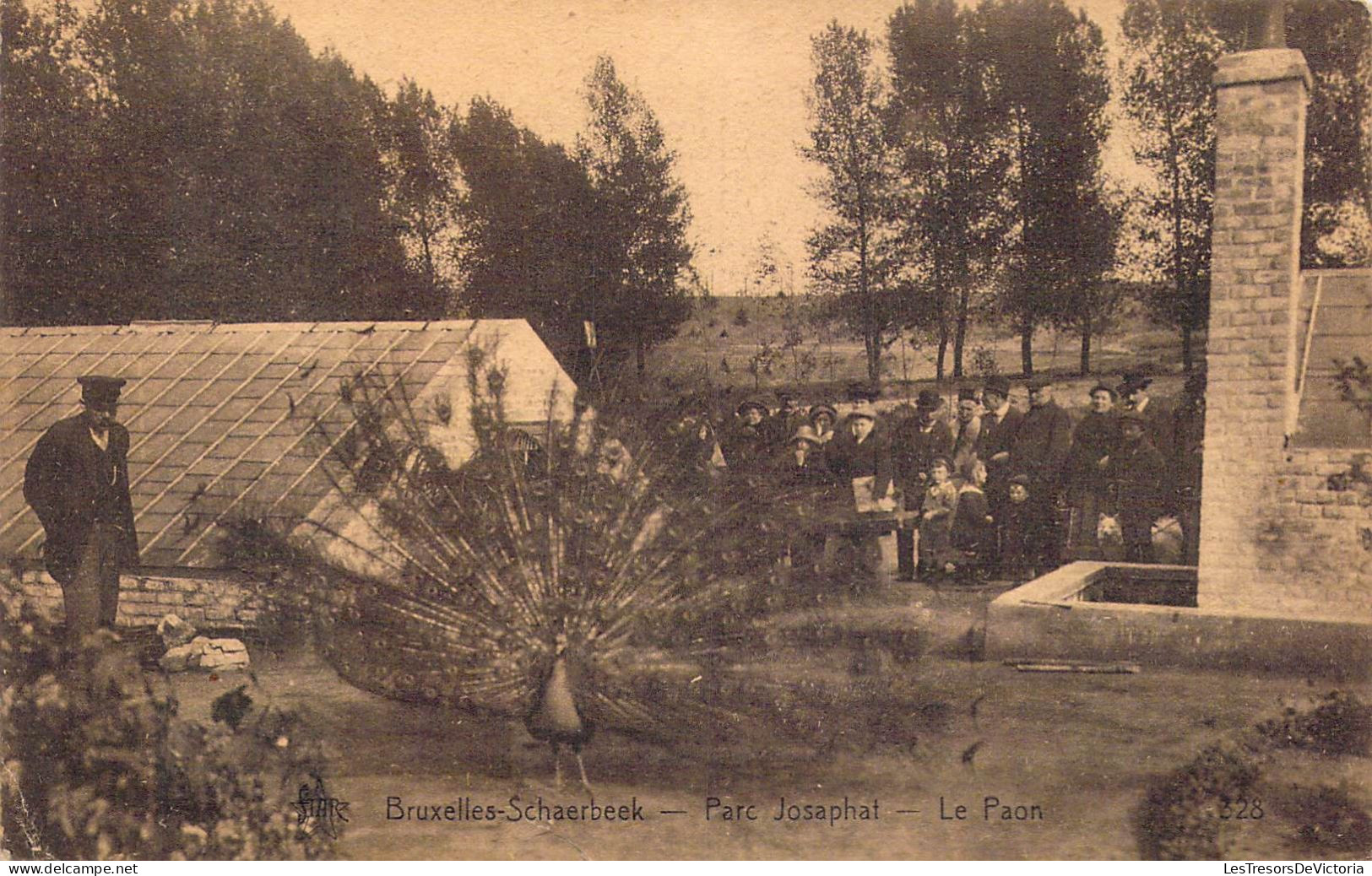 BELGIQUE - Bruxelles-Schaerbeek - Parc Josaphat - Le Paon - Carte Postale Ancienne - Bossen, Parken, Tuinen