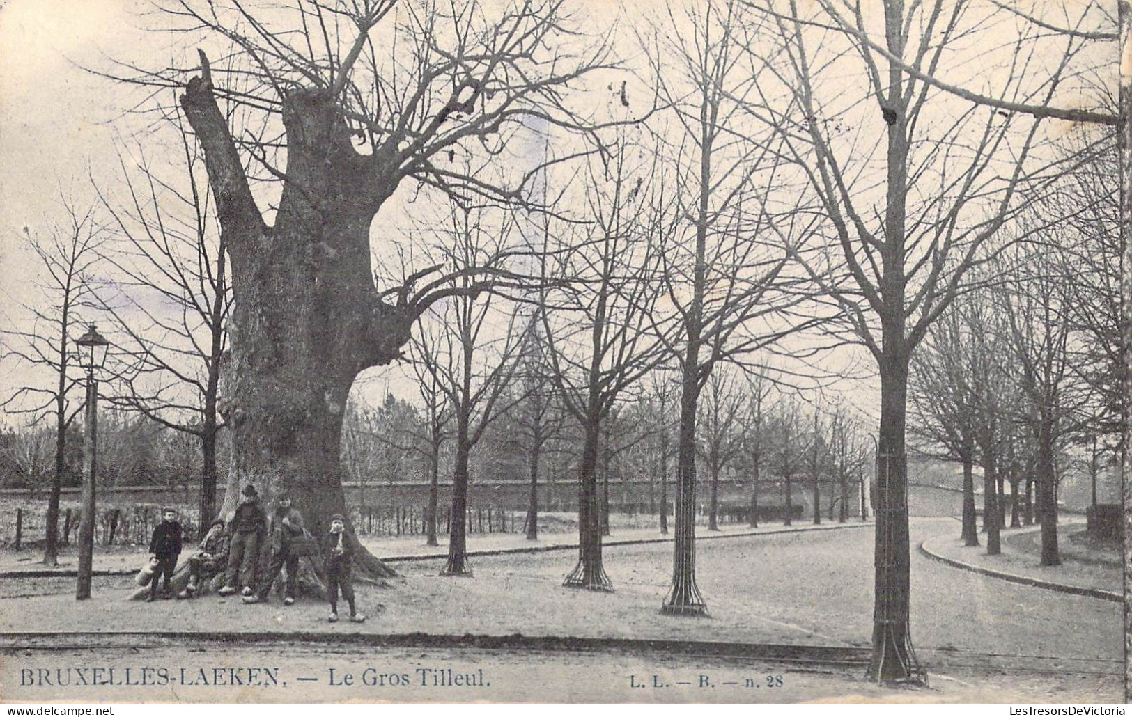 BELGIQUE - Bruxelles-Laeken - Le Gros Tilleul - Carte Postale Ancienne - Other & Unclassified