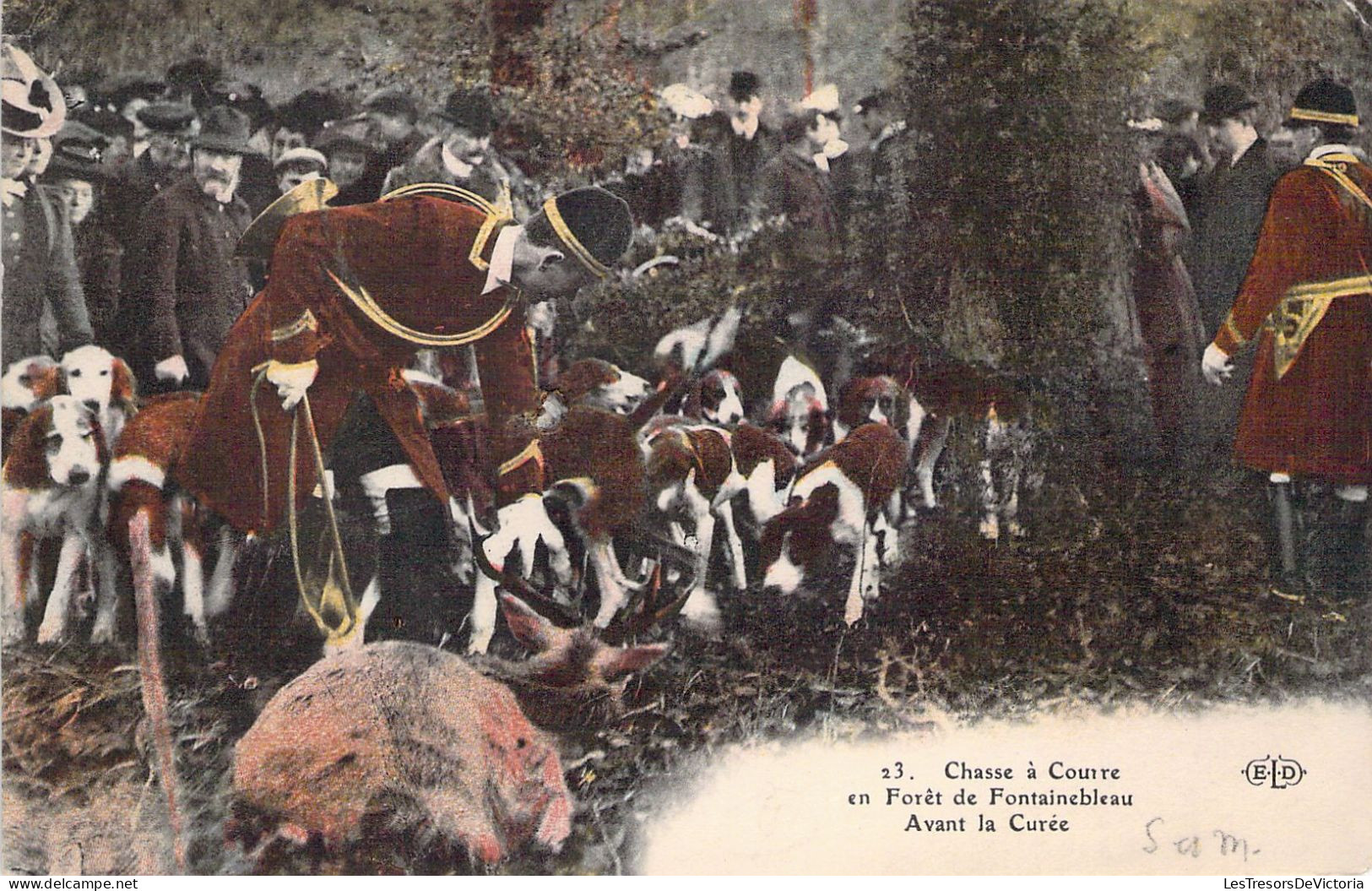 CHASSE - Chasse à Courre En Forêt De FONTAINEBLEAU - Avant La Curée - Carte Postale Ancienne - Hunting