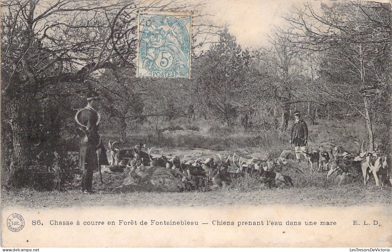 CHASSE - Chasse à Courre En Forêt De FONTAINEBLEAU - Chiens Prenant L'eau Dans Une Mare - Carte Postale Ancienne - Chasse