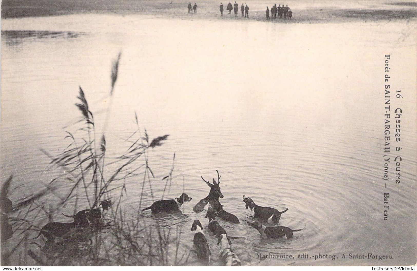 CHASSE - Forêt De SAINT FARGEAU - Chasses à Courre - Bat L'eau - Carte Postale Ancienne - Chasse