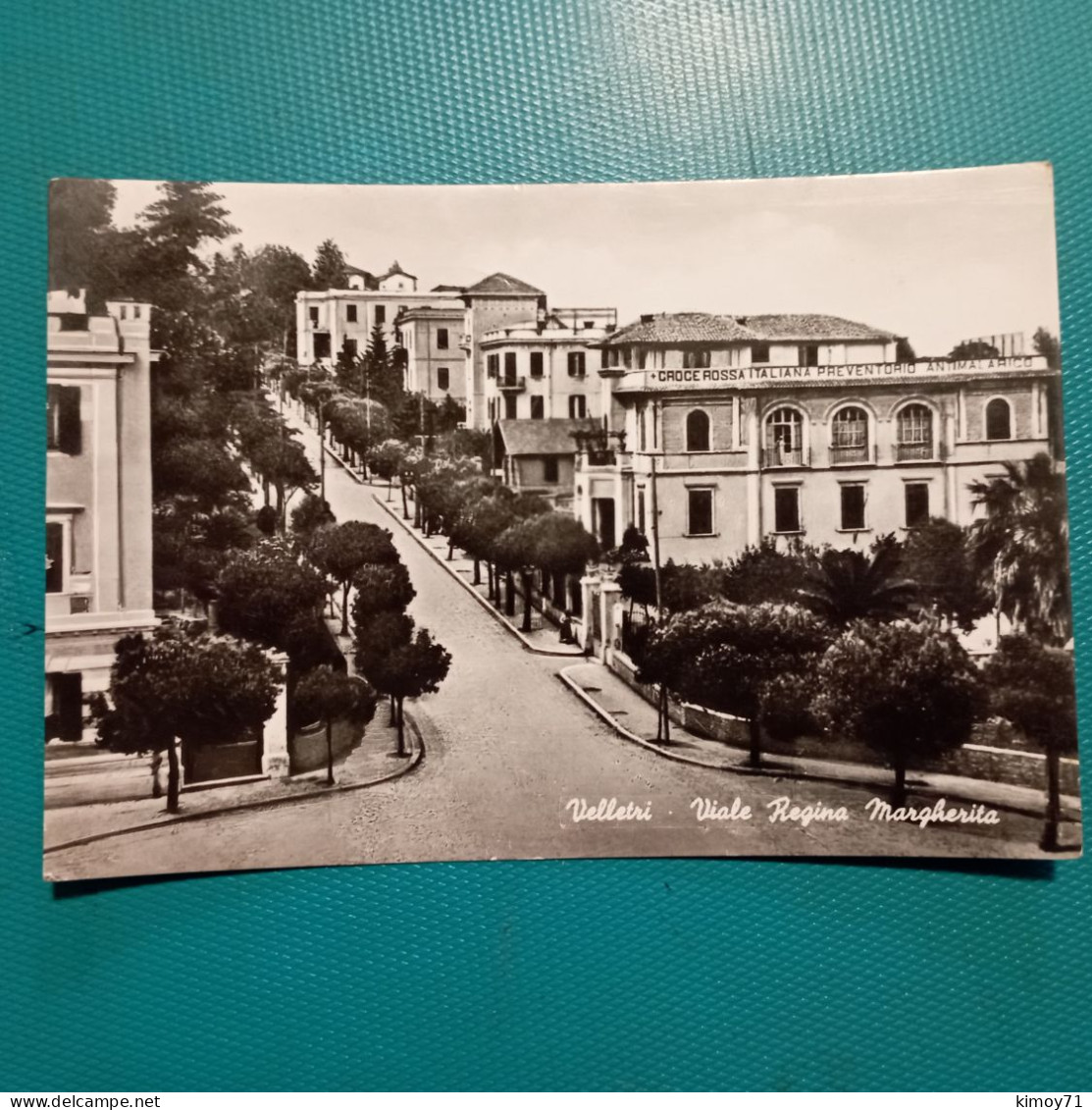 Cartolina Velletri - Viale Regina Margherita. Viaggiata 1953 - Velletri