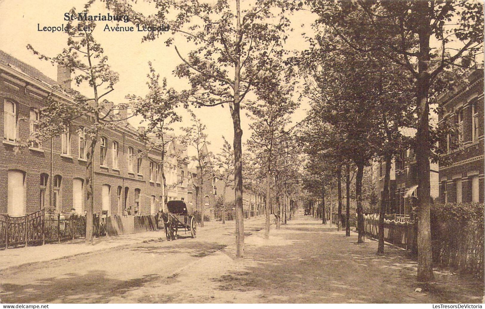 BELGIQUE - St Mariaburg - Avenue Léopold - Carte Postale Ancienne - Brasschaat