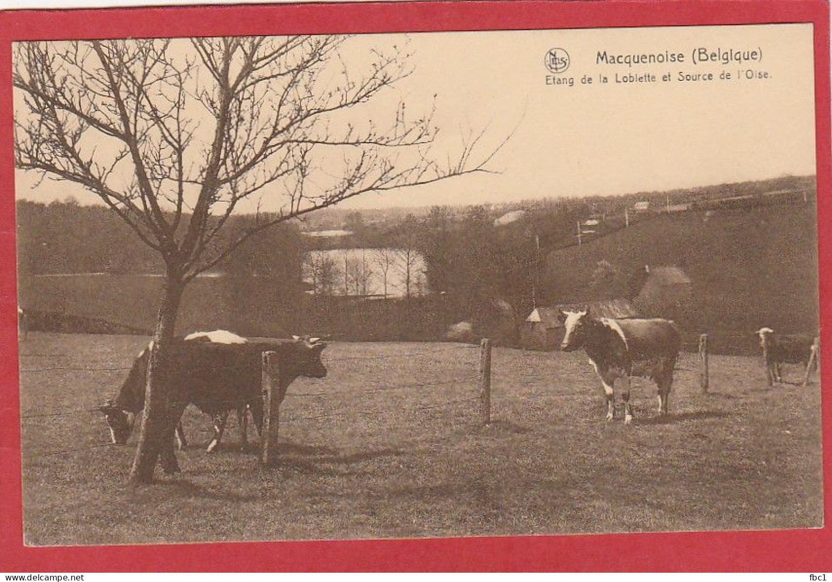 Belgique - Macquenoise - Etang De La Loblette Et Source De L'Oise - Momignies