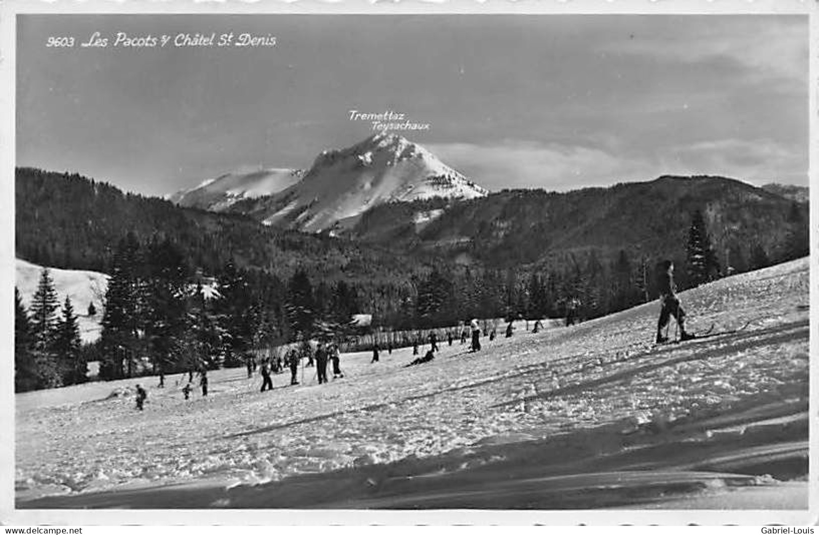 Les Paccots Sur Châtel St. Denis S / St Ski Skieurs Tremettaz Teysachaux - Châtel-Saint-Denis