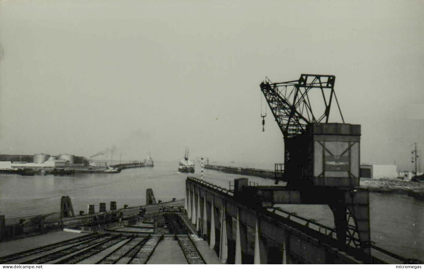 Reproduction - Scène Portuaire à Situer - Août 1956 - Bateaux