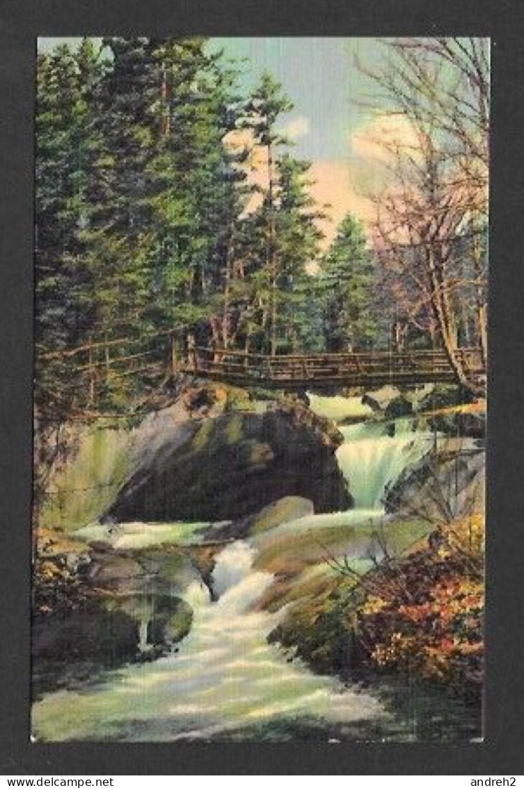 White Mountains  New Hampshire - C.P.A. The Basin, Franconia Notch. - By The Courrier Printing - Manchester