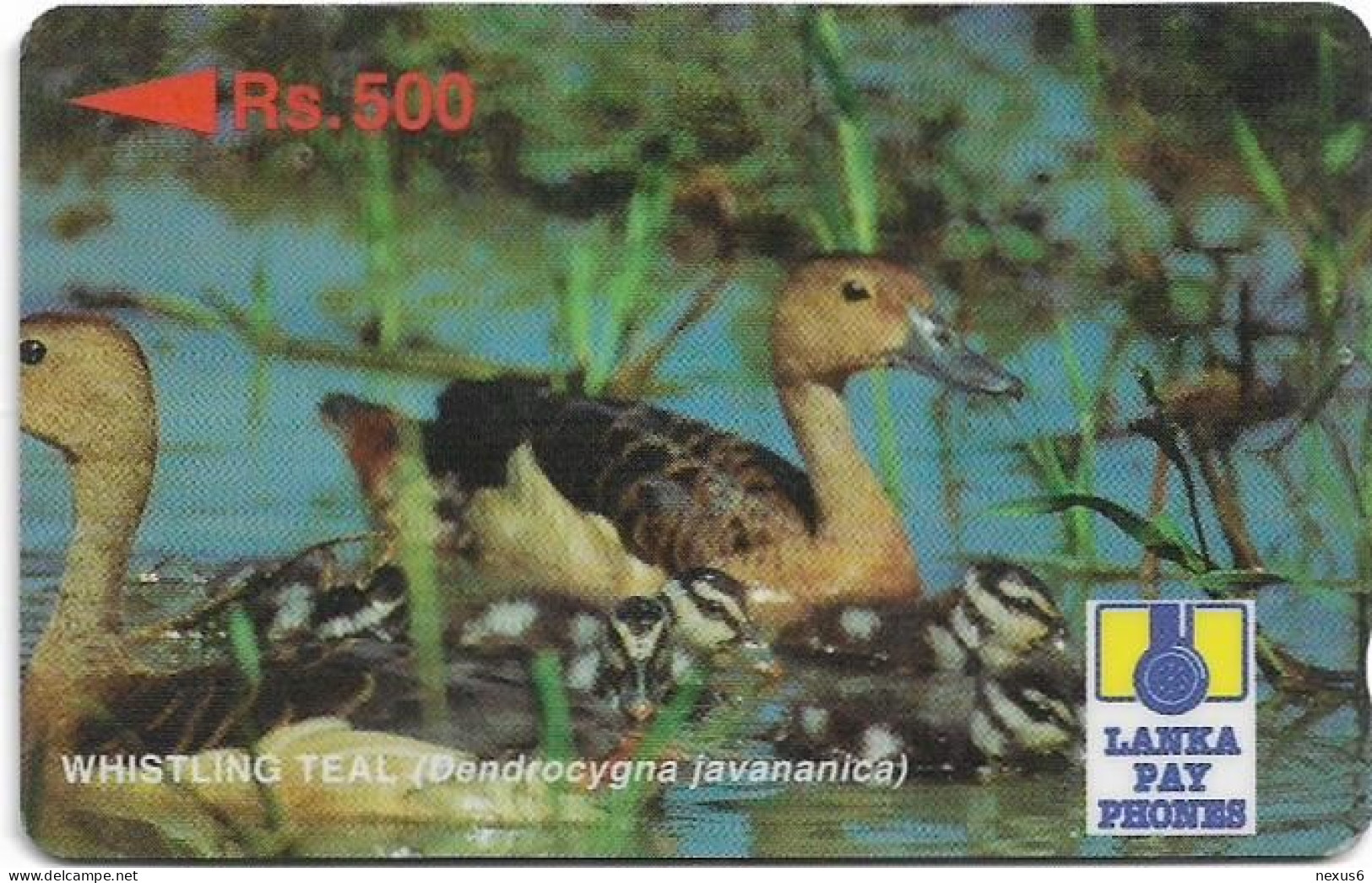 Sri Lanka - Lanka Pay Phones (GPT) - Whistling Teal - 33SRLH (Normal 0, Letter B), 500Rs, Used - Sri Lanka (Ceylon)