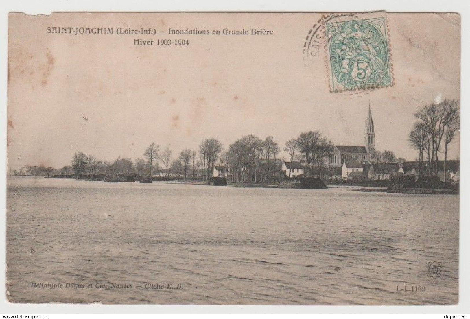 44 - Loire Atlantique / SAINT JOACHIM -- Inondations En Grande Brière. Hiver 1903-1904. - Saint-Joachim