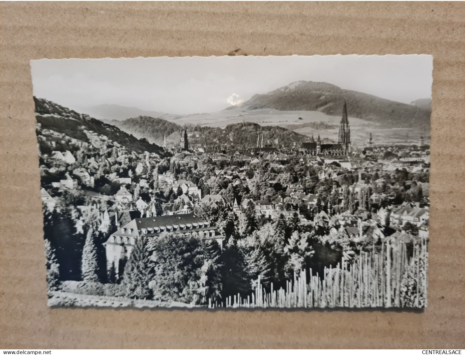 Carte ALLEMAGNE FREIBURG   BLICK ZUM 600 M HOHEN SCHONBERG - Freiburg I. Br.