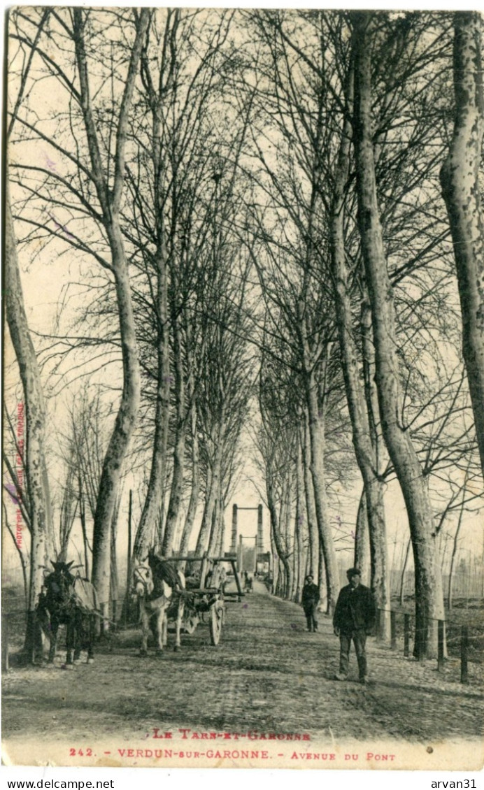 VERDUN Sur GARONNE - AVENUE Du PONT  - - Verdun Sur Garonne