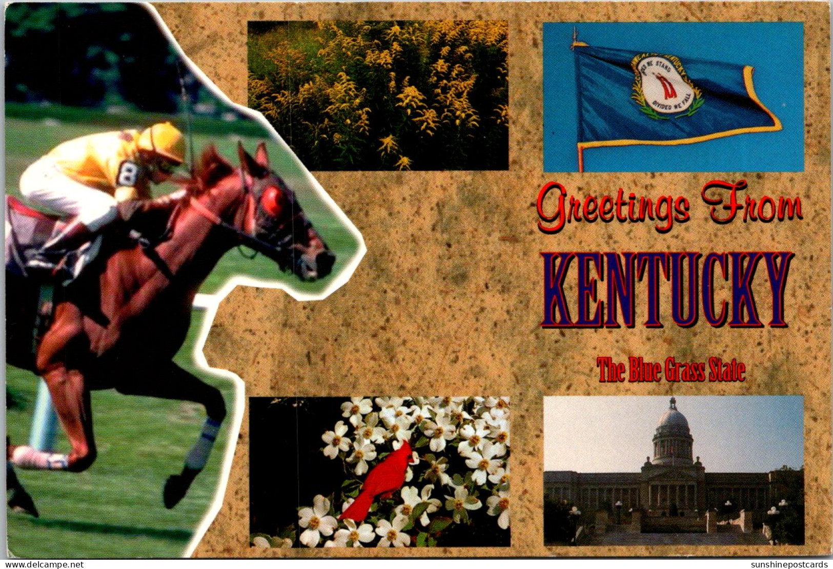 Kentucky Greetings From The Blue Grass State - Autres & Non Classés