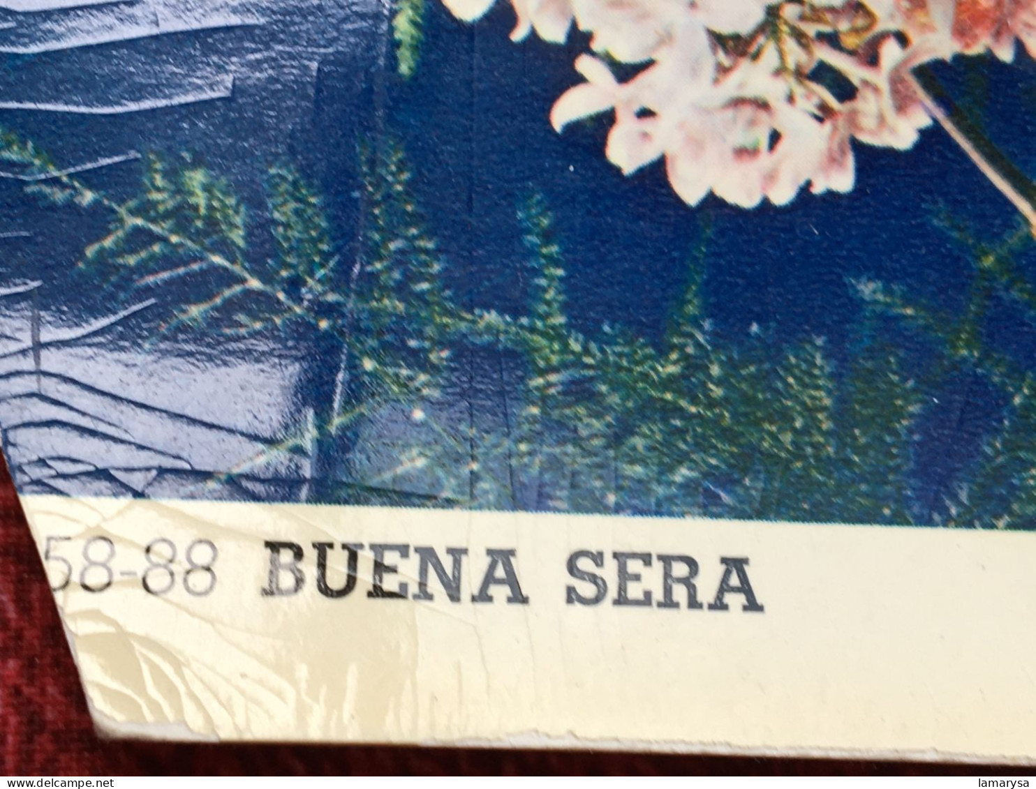 Disque 45 Tr Vinyle MEXISONOR Carte Postale Musicale "Buena Sera "Photo Vintage : Amour Mariage Bonne Nouvelle - Objets Dérivés
