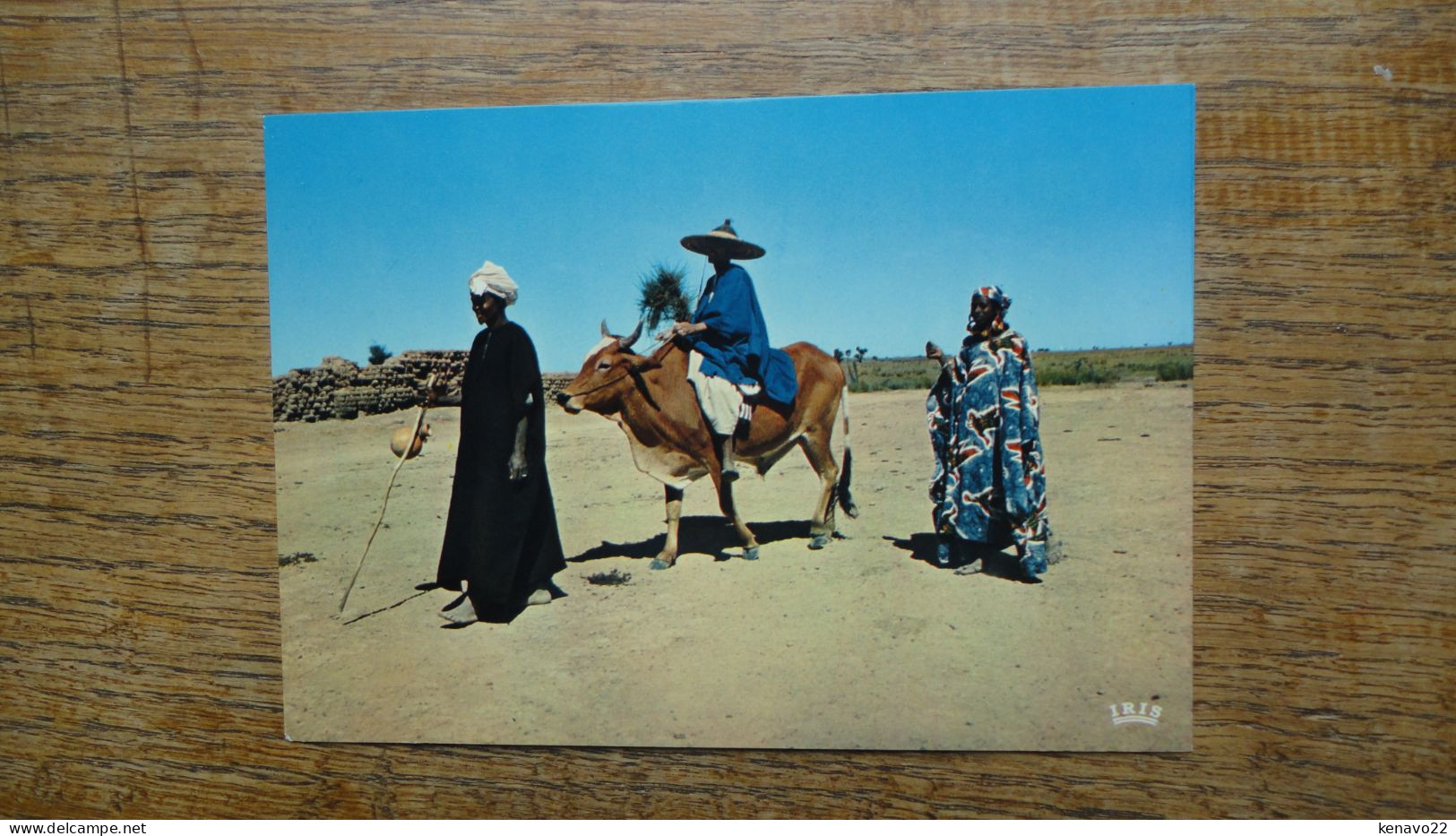 Afrique En Couleurs , Scène Africaine - Non Classés